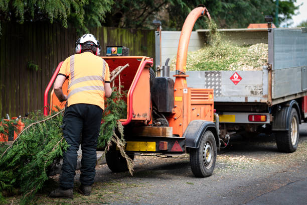 The Village Of Indian Hill, OH Tree Care Services Company